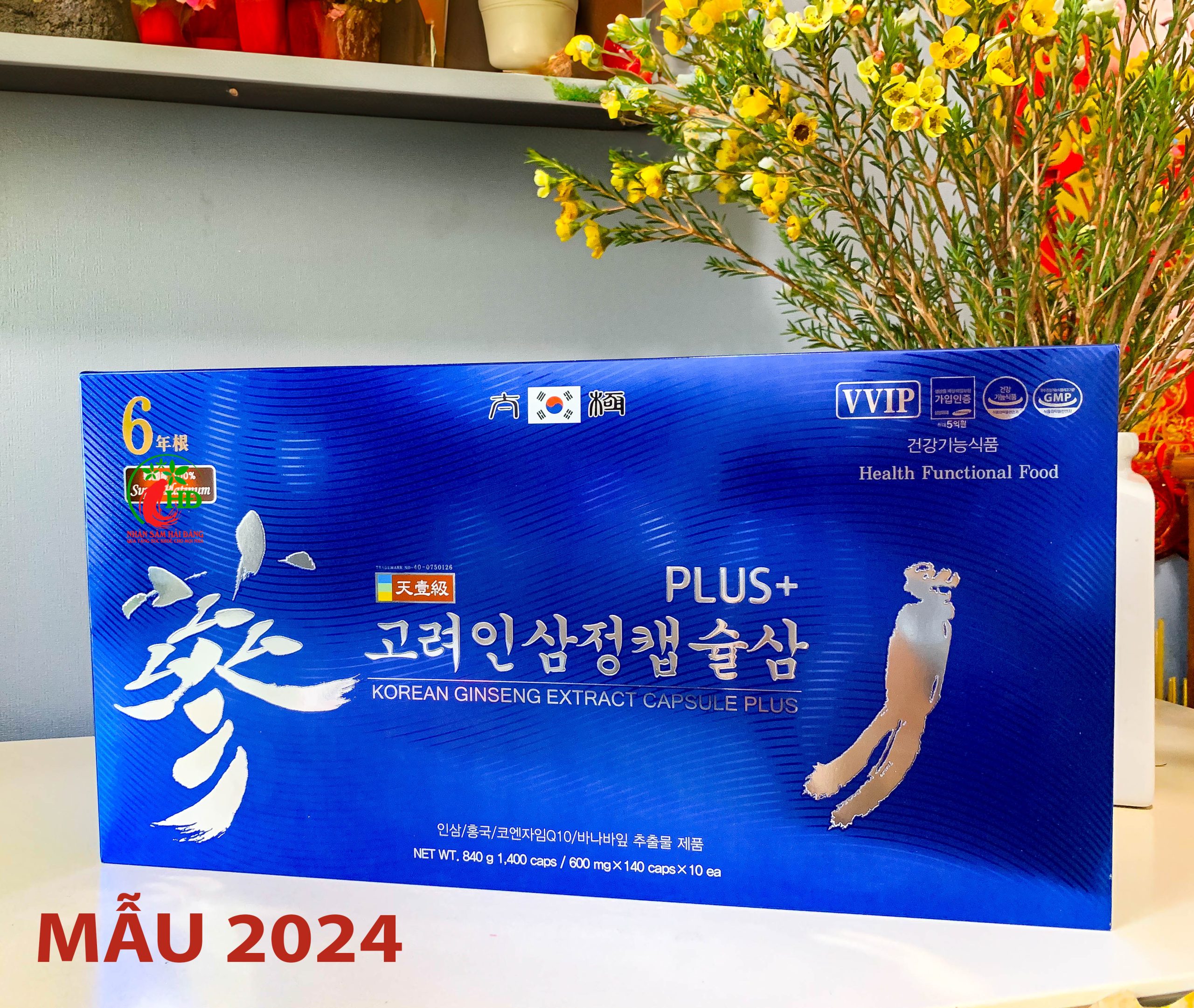 THIÊN SÂM 1400VIÊN MẪU MỚI 2024